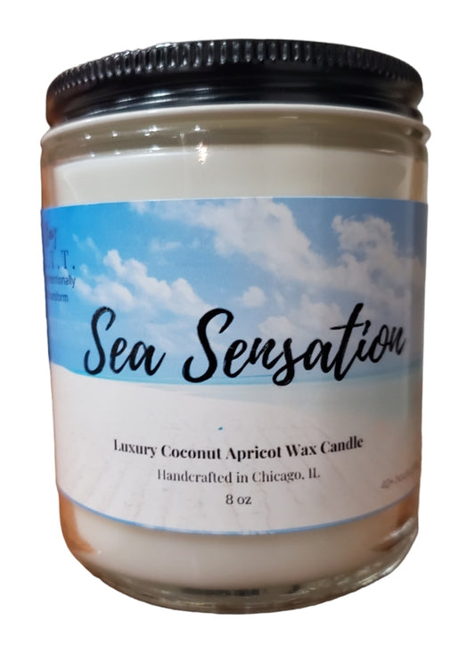 Sea Sensation